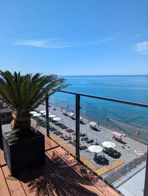 Студия Краснодарский край, Сочи ул. Просвещения, 104Б (37.3 м) - Фото 2