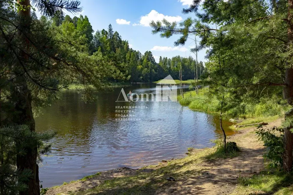 2-к кв. Ленинградская область, Гатчинский район, д. Белогорка ул. ... - Фото 0