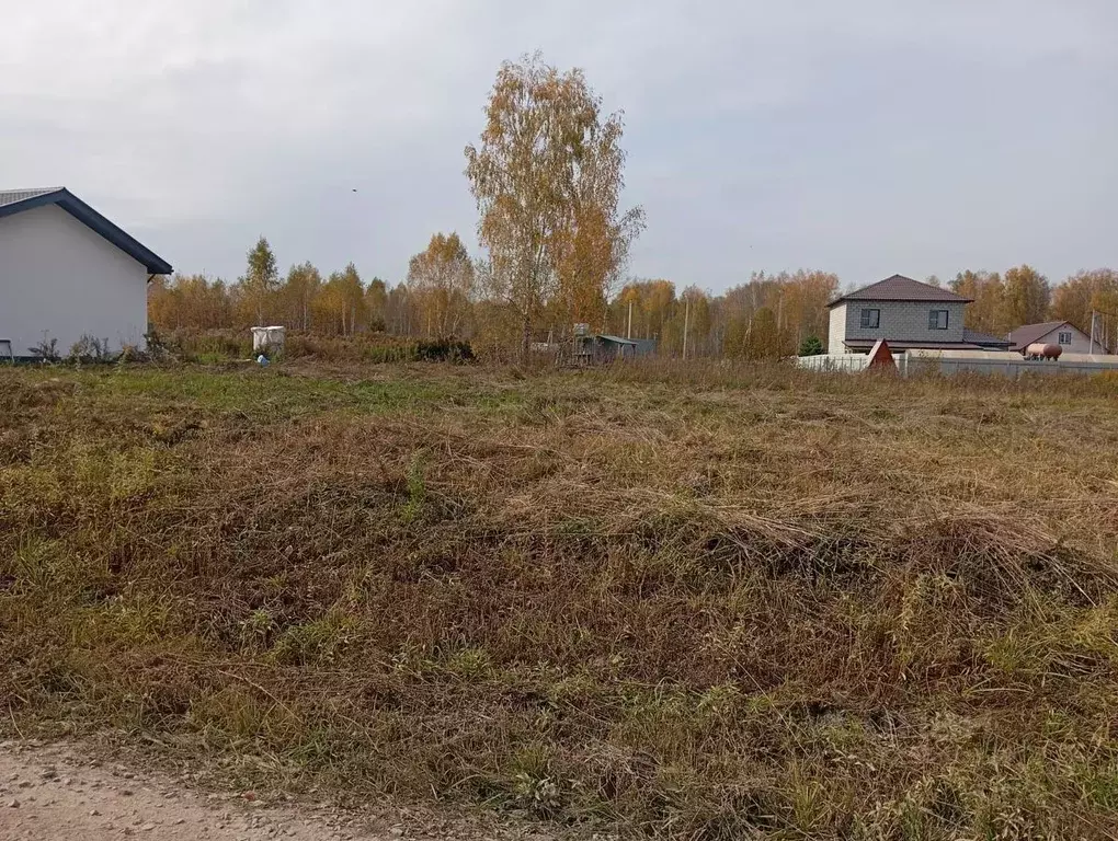 Участок в Новосибирская область, Новосибирский район, Барышевский ... - Фото 2