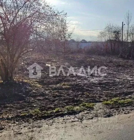 Участок в Калининградская область, Калининград ул. Шишкина (6.0 сот.) - Фото 2