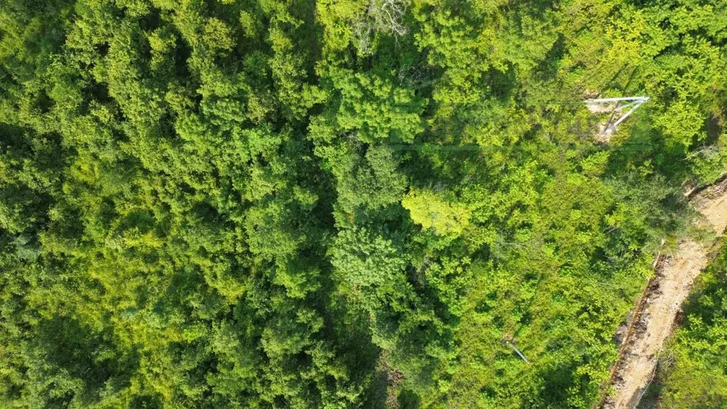 Участок в Приморский край, Артемовский городской округ, с. Ясное ул. ... - Фото 2