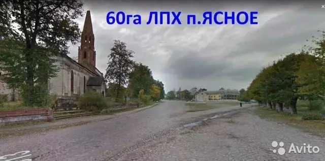 Погода в ясное славский район. Посёлок красное Славский район Калининградская. Ясное Калининградская область. П ясное Славского района. Поселок ясное Славского района Калининградской области архитектура.