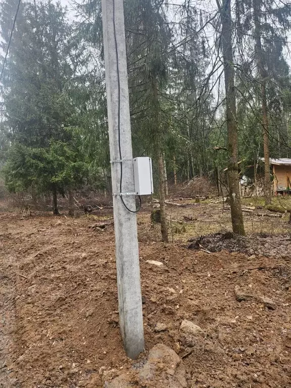 Участок в Москва № 157 кв-л,  (10.0 сот.) - Фото 1