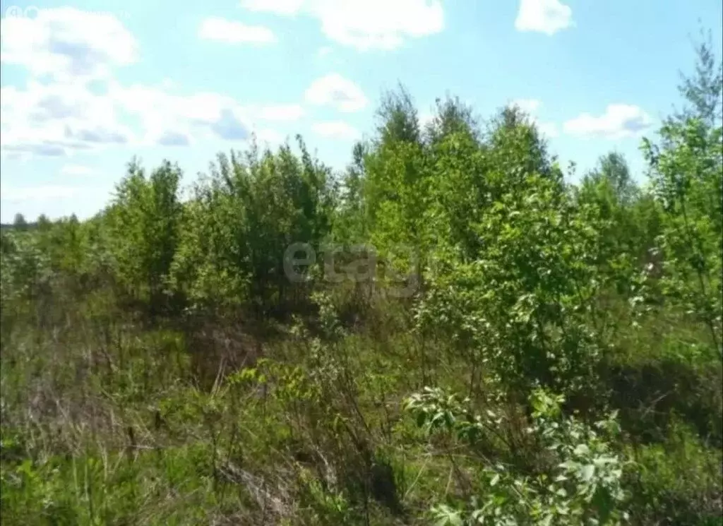 Участок в деревня Лихун, 1-я Подмосковная улица (5 м) - Фото 1