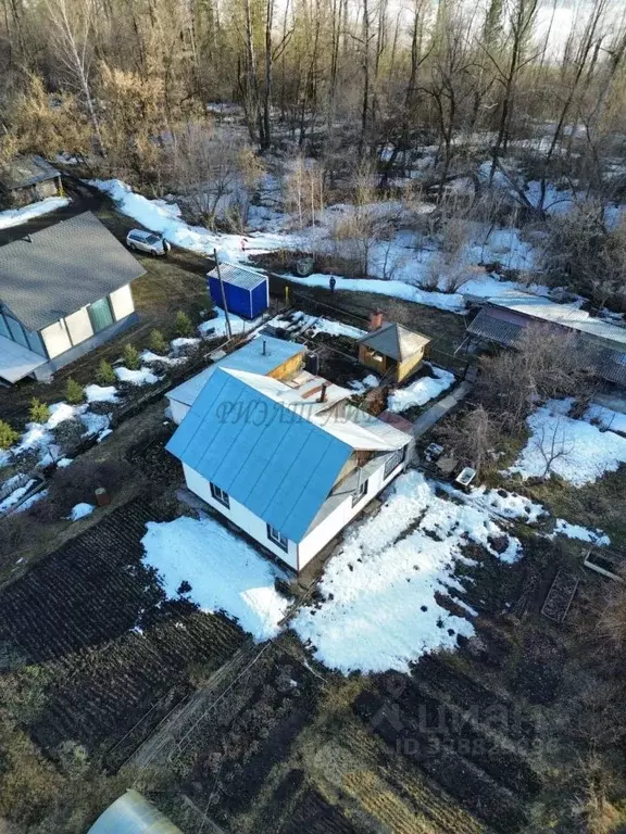 Дом в Алтай, Майминский район Р-256 Чуйский тракт, 453-й км (48 м) - Фото 1