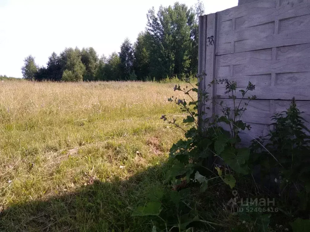 Участок в Владимирская область, Александровский район, д. Зубарево  ... - Фото 0