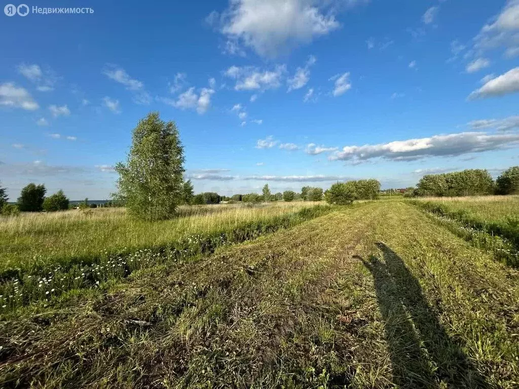Участок в Тульская область, городской округ Алексин, село Сотино (550 ... - Фото 0