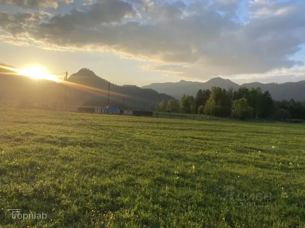 Участок в Алтай, Чемальский район, с. Турбаза Катунь Сосновая ул. ... - Фото 2