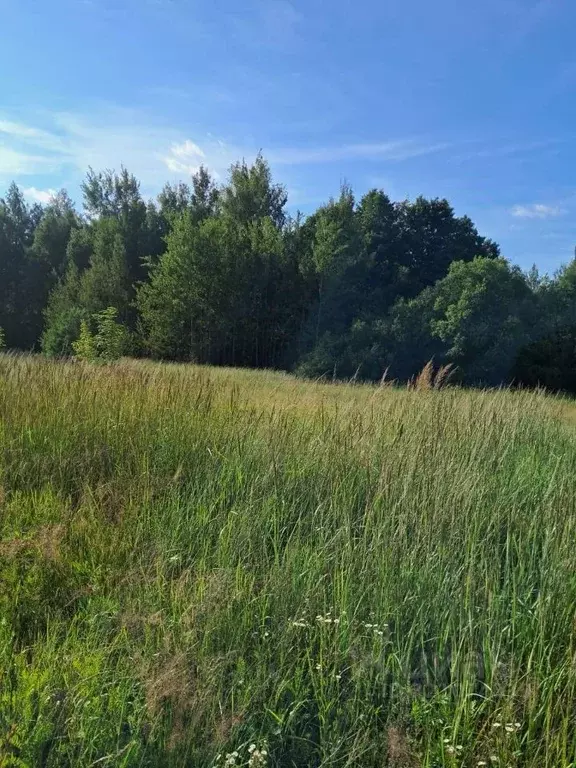 Участок в Московская область, Орехово-Зуевский городской округ, д. ... - Фото 0