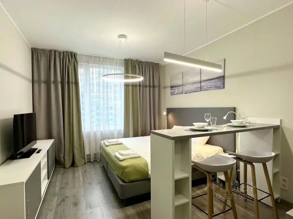 1-к кв. Санкт-Петербург Витебский просп., 101к1 (27.0 м) - Фото 1