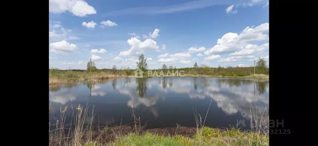 Участок в Владимирская область, Судогодский муниципальный округ, д. ... - Фото 2