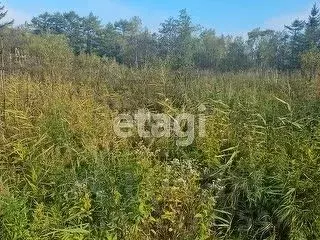 Участок в Сахалинская область, Южно-Сахалинск Ново-Александровск п/р,  ... - Фото 0