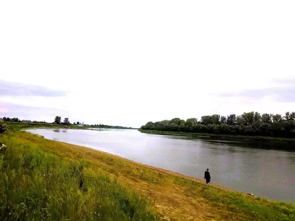 Участок в Нуримановский район, Красногорский сельсовет, село Красная ... - Фото 1