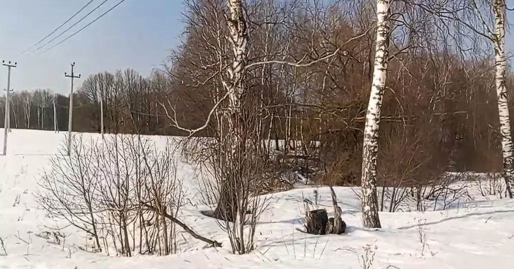 Участок в Московская область, Чехов муниципальный округ, с. Стремилово ... - Фото 1