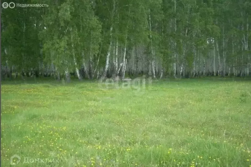 Участок в Красноярск, Заречная улица (8 м) - Фото 1