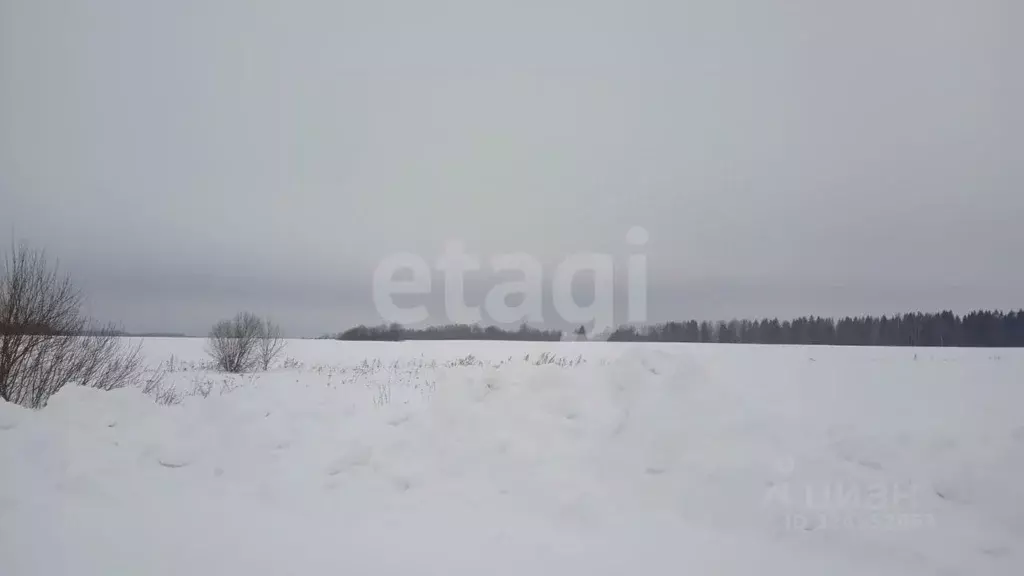 Участок в Костромская область, Сусанино пгт  (770.0 сот.) - Фото 1