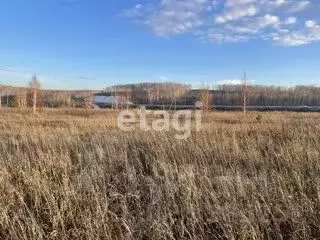 участок в красноярский край, березовский район, есаульский сельсовет, . - Фото 0