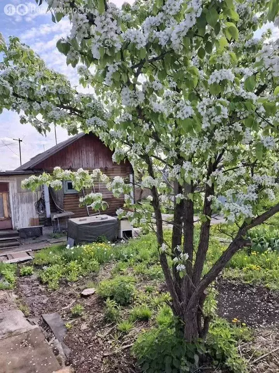Участок в Мичуринский сельсовет, садовое некоммерческое товарищество ... - Фото 1