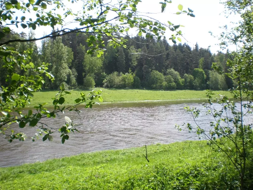 Участок в Московская область, Рузский муниципальный округ, д. ... - Фото 1