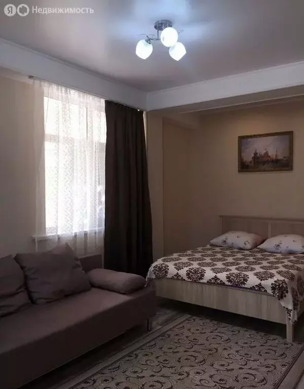 Квартира-студия: Сочи, Виноградная улица, 116А (28.2 м) - Фото 1