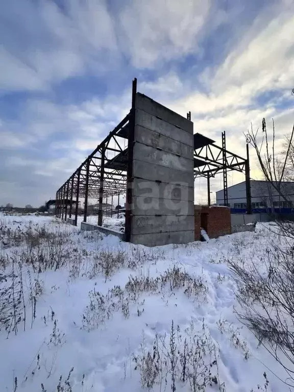 Склад в Тюменская область, Тюменский муниципальный округ, Винзили рп ... - Фото 1