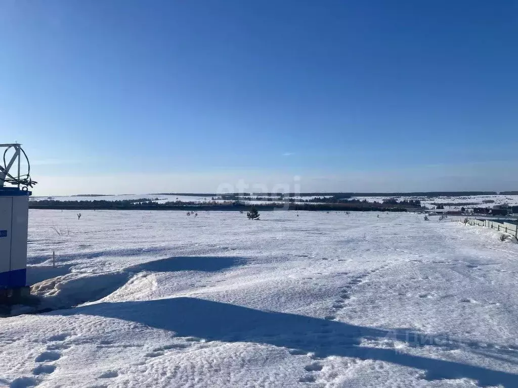 Участок в Удмуртия, Завьяловский район, д. Лудорвай ул. Тенистая ... - Фото 0