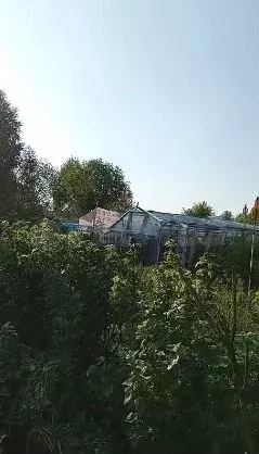 Участок 6,3 сот. (СНТ, ДНП) - Фото 1