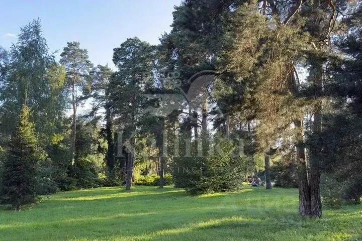 Участок в Московская область, Одинцовский городской округ, д. Барвиха, ... - Фото 1