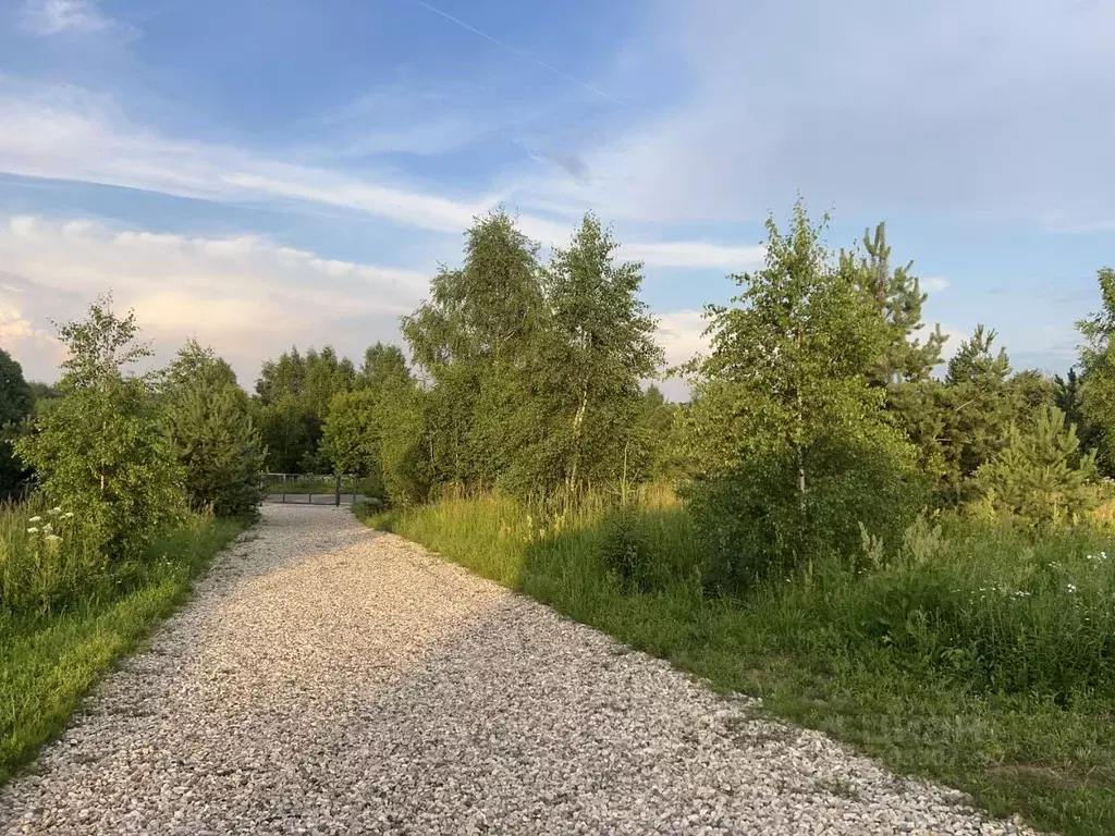 Участок в Тверская область, Конаковский муниципальный округ, д. ... - Фото 2