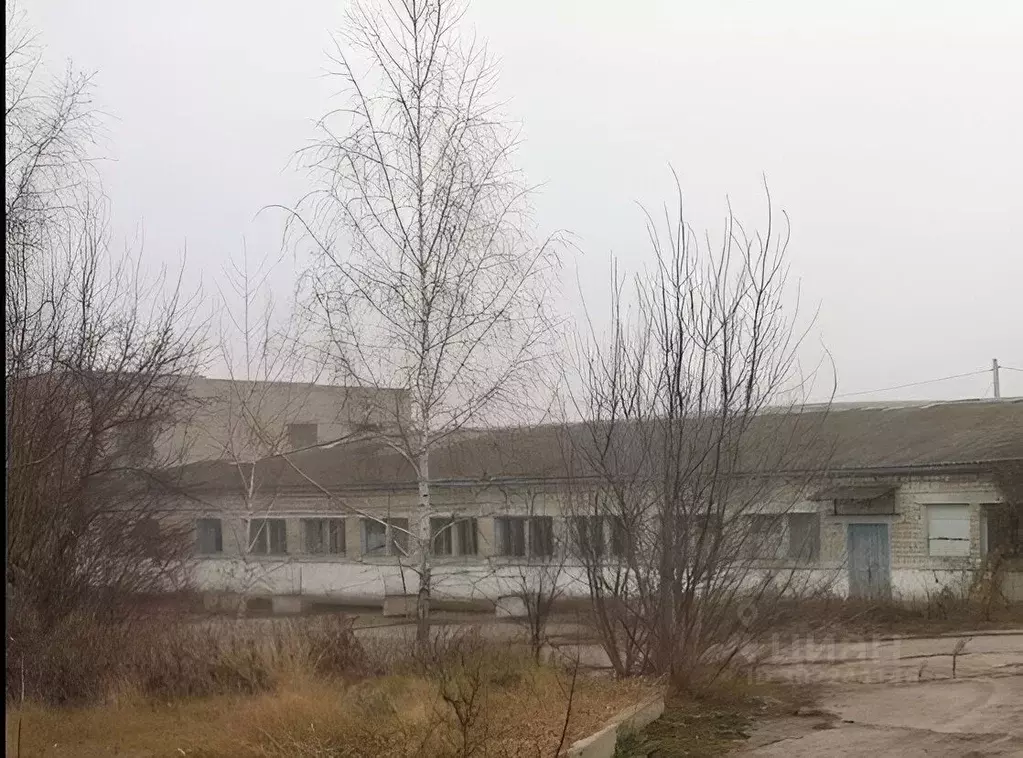 Помещение свободного назначения в Белгородская область, ... - Фото 0