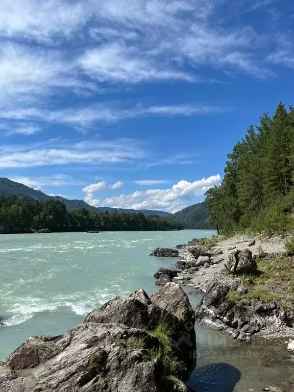 Участок в Алтай, Чемальский район, с. Чепош Спортивный пер., 36 (10.0 ... - Фото 0