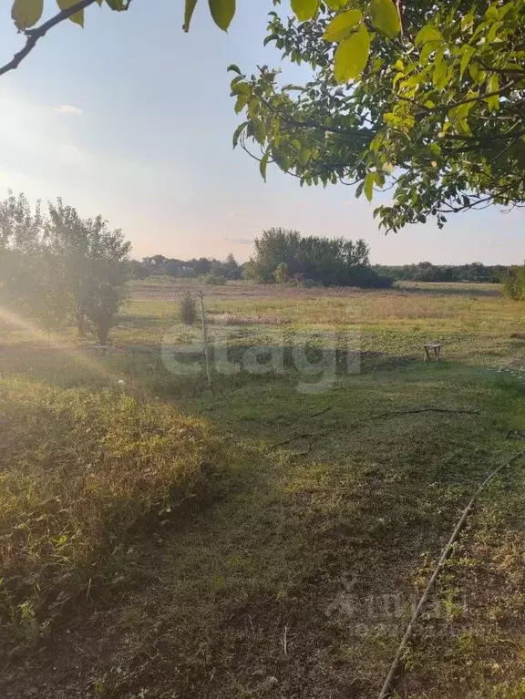 Дом в Белгородская область, Ровеньки городское поселение, Ровеньки рп ... - Фото 1
