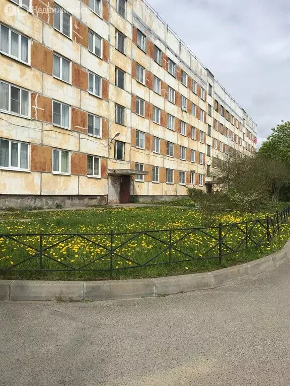 1-комнатная квартира: деревня Лесколово, Красноборская улица, 61 (33.3 ... - Фото 1
