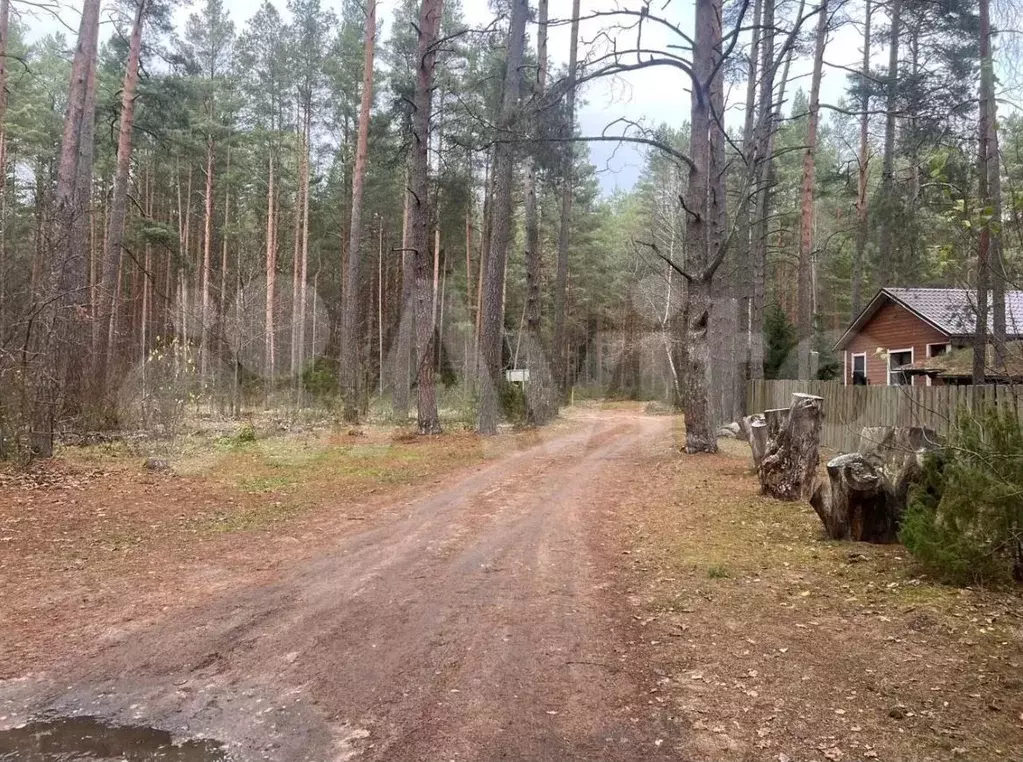 Участок 5,1 сот. (ИЖС) - Фото 0