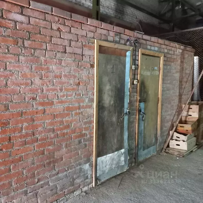 Помещение свободного назначения в Башкортостан, Уфа ул. Свободы, 57 ... - Фото 0