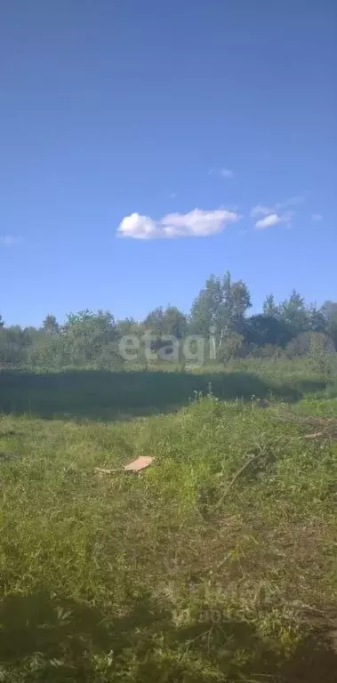 Участок в Московская область, Орехово-Зуево Центральный бул. (10.0 ... - Фото 0