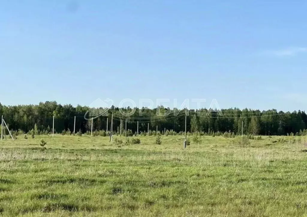 Участок в Тюменская область, Нижнетавдинский муниципальный округ, с. ... - Фото 1