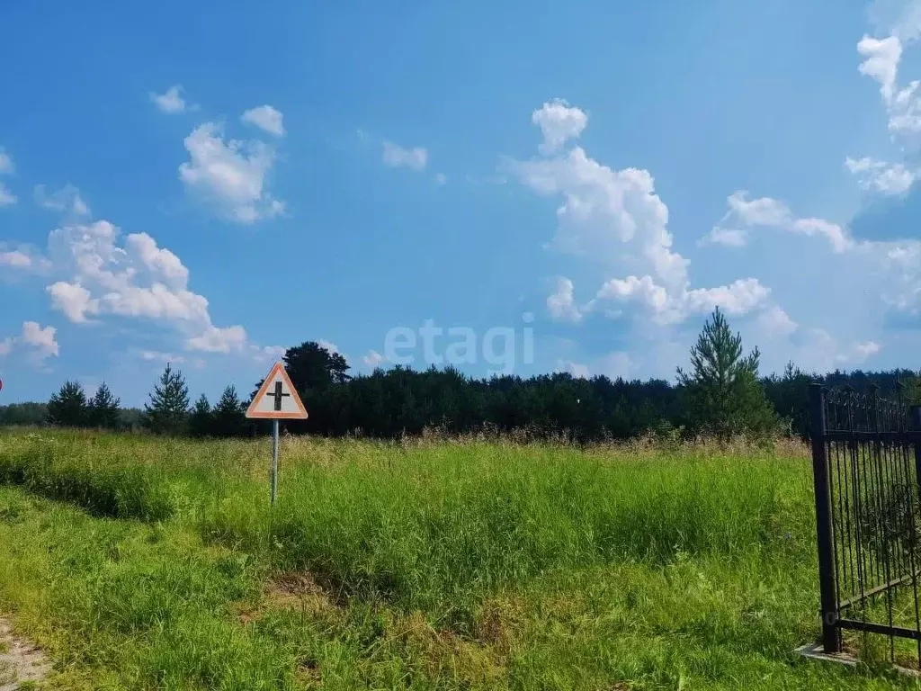 Участок в Свердловская область, Каменский городской округ, д. Шилова  ... - Фото 0