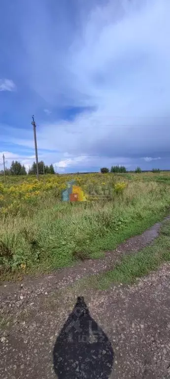 Дом в Тульская область, Тула городской округ, д. Тихвинка  (60 м) - Фото 1