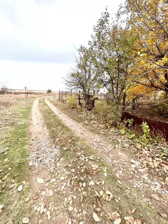 Дом в Волгоградская область, Городищенский район, Новожизненское ... - Фото 1