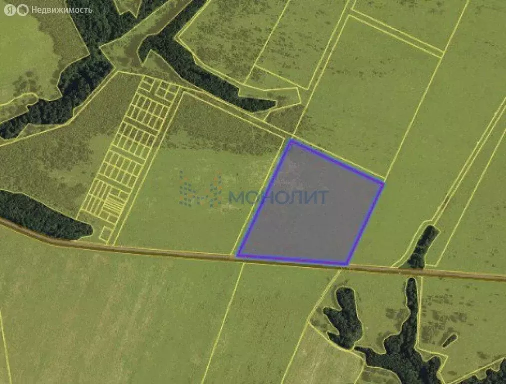 Участок в Нижегородская область, село Дивеево (10.9 м) - Фото 2