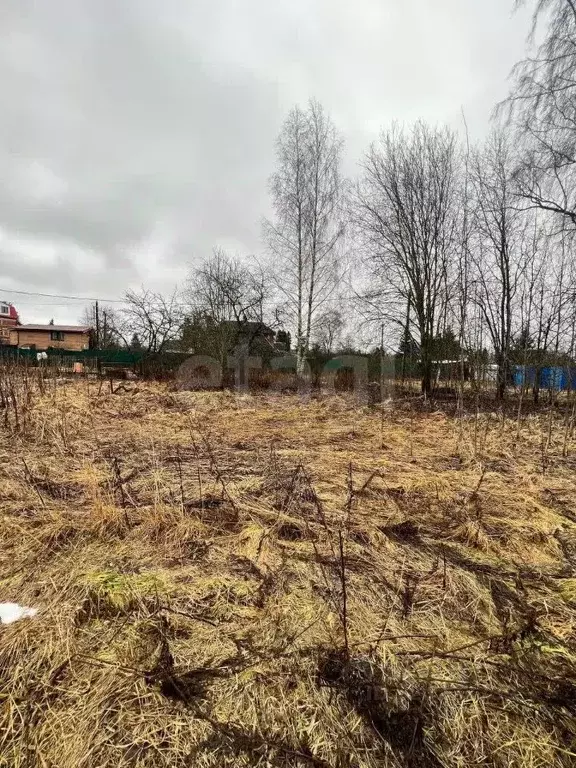 Участок в Ленинградская область, Гатчинский муниципальный округ, д. ... - Фото 1