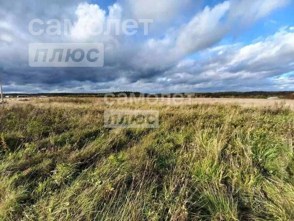 Участок в Вологодская область, с. Сямжа ул. Еремиха (12.0 сот.) - Фото 1