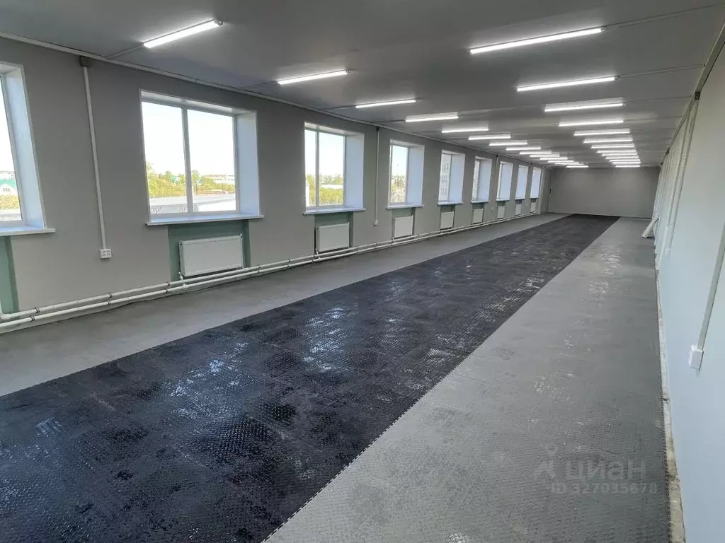 Помещение свободного назначения в Татарстан, Лениногорск ул. ... - Фото 2