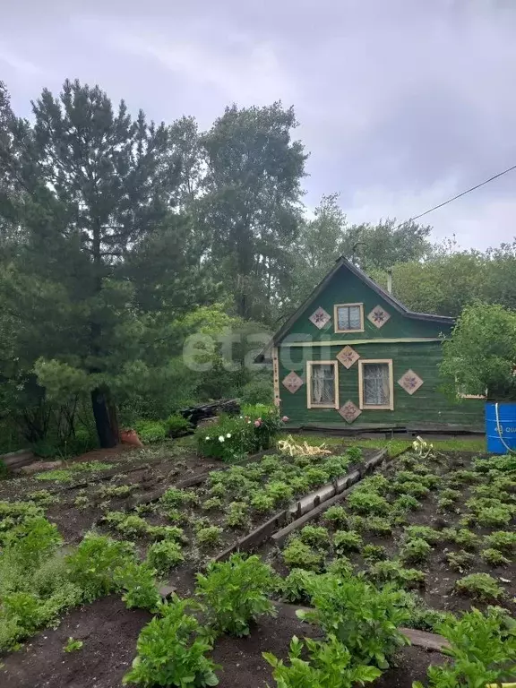 Купить Дом В Черте Нижнего Тагила