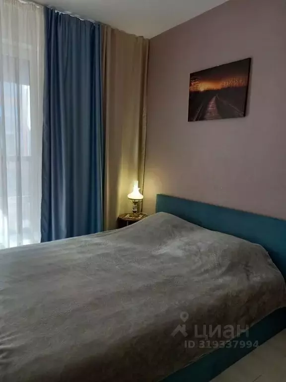 Студия Санкт-Петербург аллея Арцеуловская, 19 (28.0 м) - Фото 0
