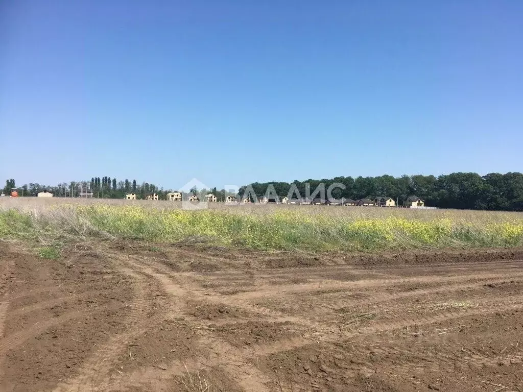 Участок в Краснодарский край, Краснодар Старокорсунская ст-ца, проезд ... - Фото 1