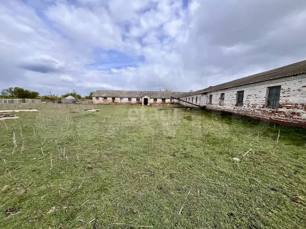 Продам помещение свободного назначения, 373 м - Фото 0