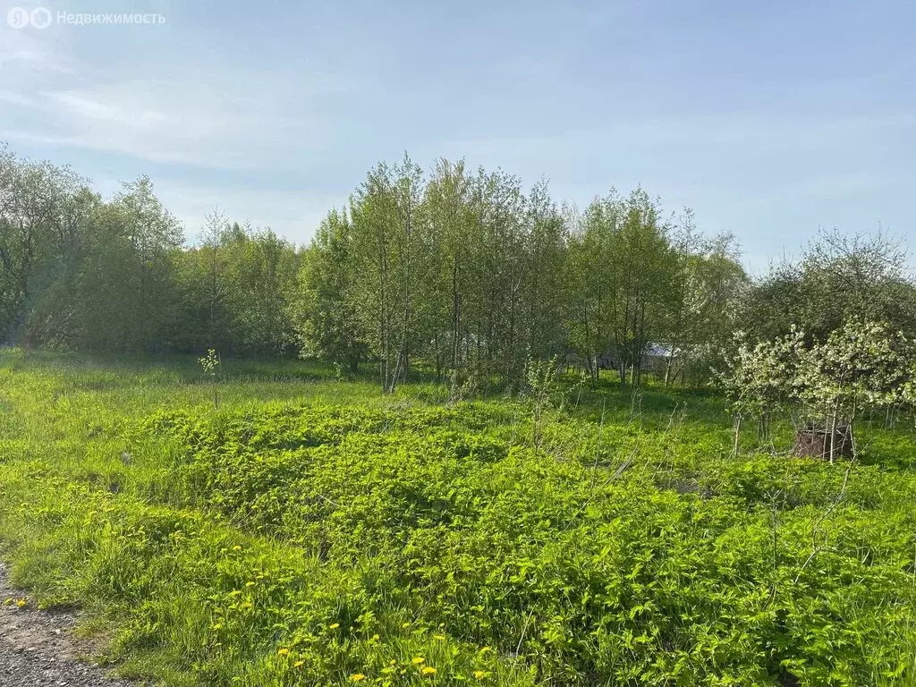Участок в Санкт-Петербург, Стрельнинское шоссе (4 м) - Фото 0