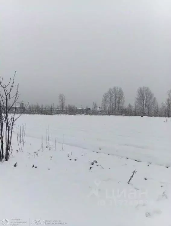 Участок в Краснодарский край, Белореченский район, Родниковское с/пос, ... - Фото 0